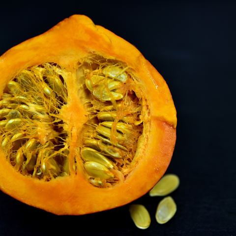 Learn more about the parts of a pumpkin in this DIY experiment!