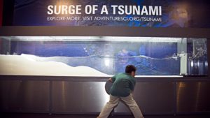 Surge of a Tsunami