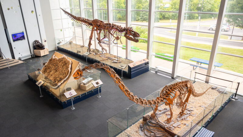 Adventure Science Center — photo 2
